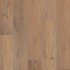 COREtec Premium VV810 - Sand Dollar Oak